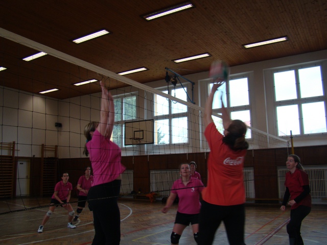 DSC03050